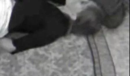 Daniela video porno con vecchi gratis Poggi-sottomissione donna