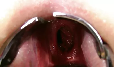 German Goo Girls-Tatuaggi, anale e vecchi porci scopano sperma