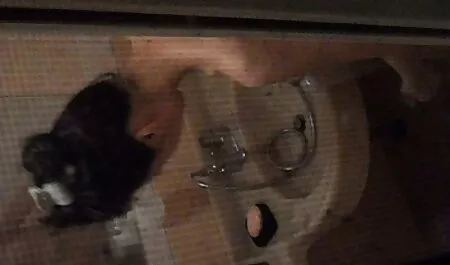 Skater Fritz ottiene un cazzo giovani troie con vecchi nero nel culo